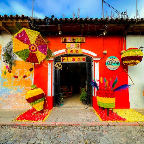 ganadores del festival de las flores 2023