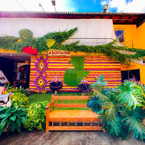 ganadores del festival de las flores 2023