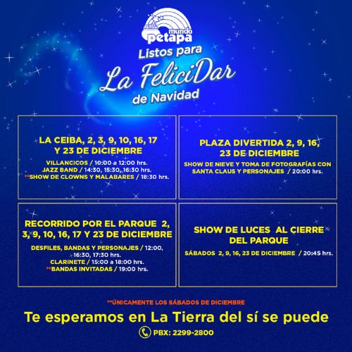 Actividades navideñas en los parques del Irtra (3)