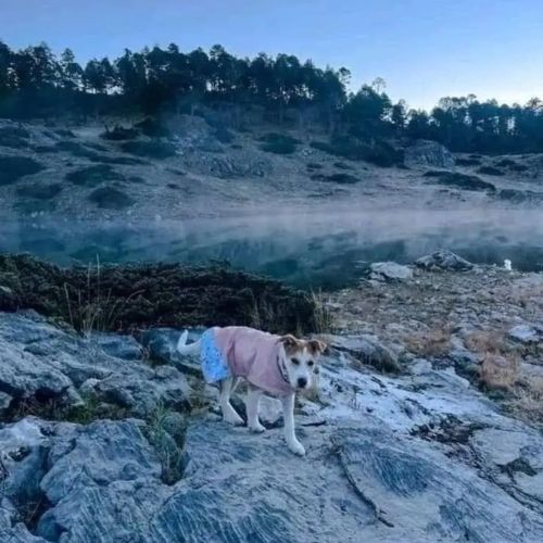 _heladas que se han vivido en Huehuetenango