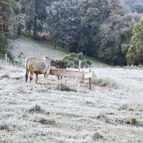 _heladas que se han vivido en Huehuetenango