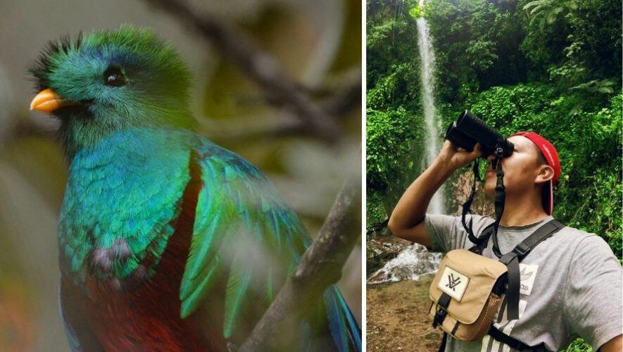 5 consejos para tomar fotografías del Quetzal en Guatemala