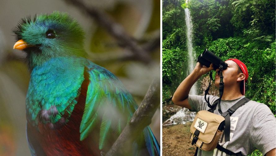 5 consejos para tomar fotografías del Quetzal en Guatemala
