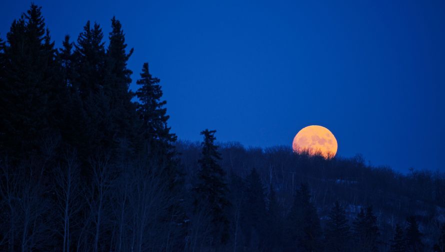 Calendario de los eventos astronómicos de enero 2024