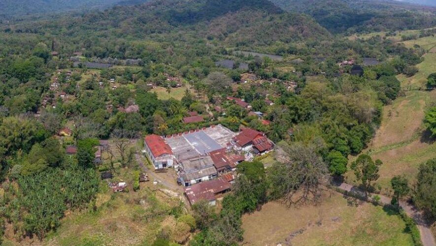 Colazo en Finca Tarrales en San Lucas Tolim&aacute;n, Solol&aacute; | Enero 2024