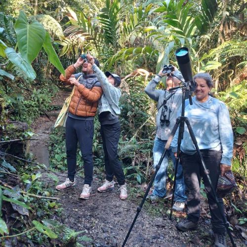 Consejos para tomar fotografías del Quetzal en Guatemala