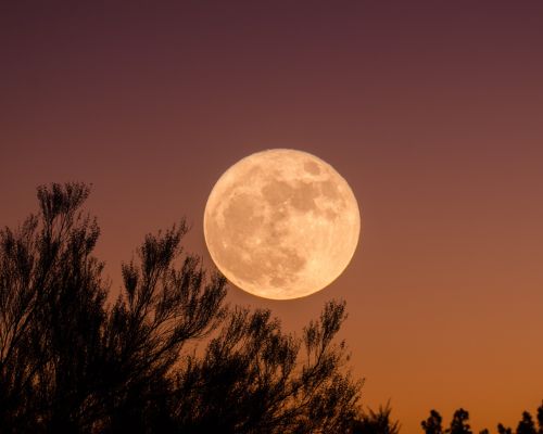 Enero 2024 calendario de los eventos astronómicos del mes Luna Llena del Lobo