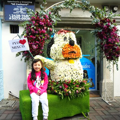 Fotos Paseo de las Flores de Morenos en Mixco 2024