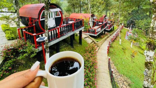Las Barricas de Las Mercedes, el restaurante dentro de barriles antiguos en Alta Verapaz