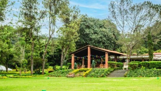 Restaurante La Quinta, el restaurante con amplio jardín y comida típica en Ciudad Vieja