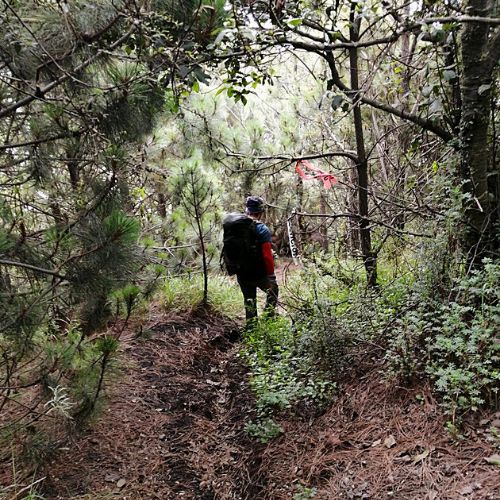Ruta Alotenango - volcanes Acatenango y Fuego (1)