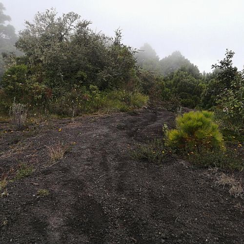 Ruta Alotenango - volcanes Acatenango y Fuego (2)