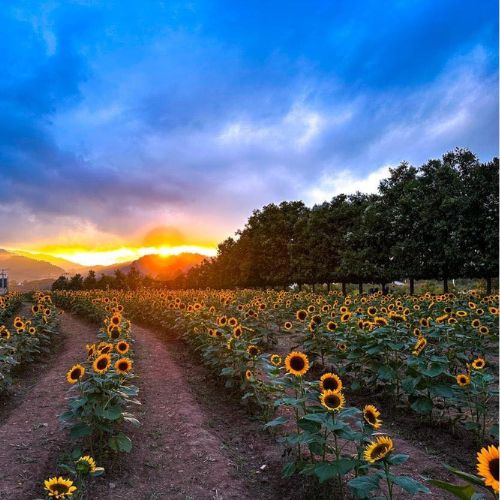 Un lugar de Guatemala para visitar cada mes