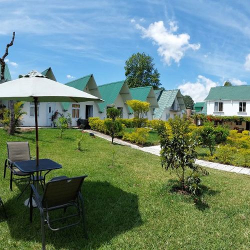 bungalows unicornio azul