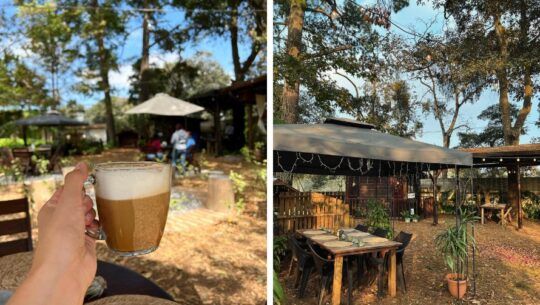 Amus Green Food Café
