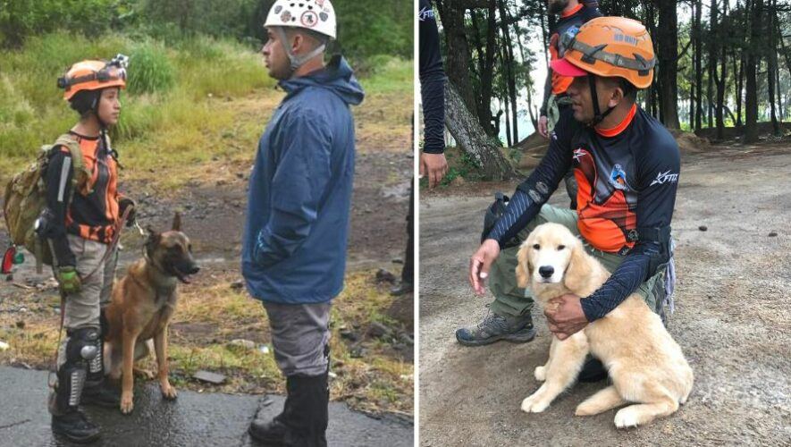 Aspirantes a voluntarios K9 SAR Guatemala