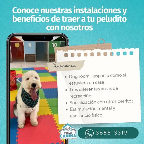 Day care Villa Canina