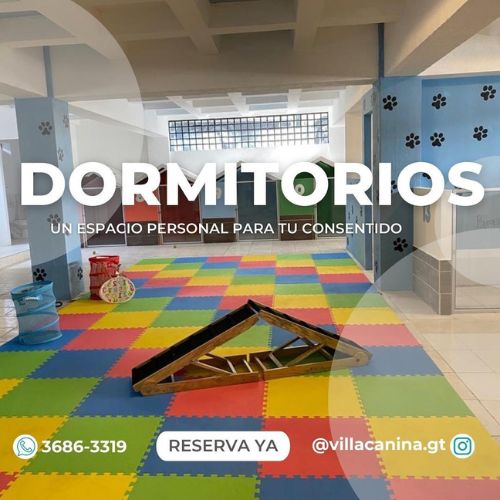 Hotel para perros Villa Canina