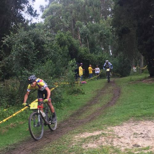 Cross country olímpico
