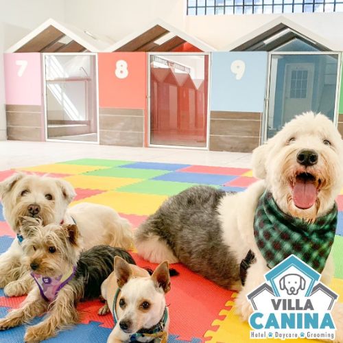 Villa Canina Guatemala