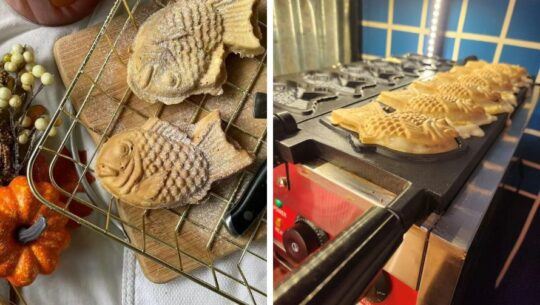 momo taiyaki