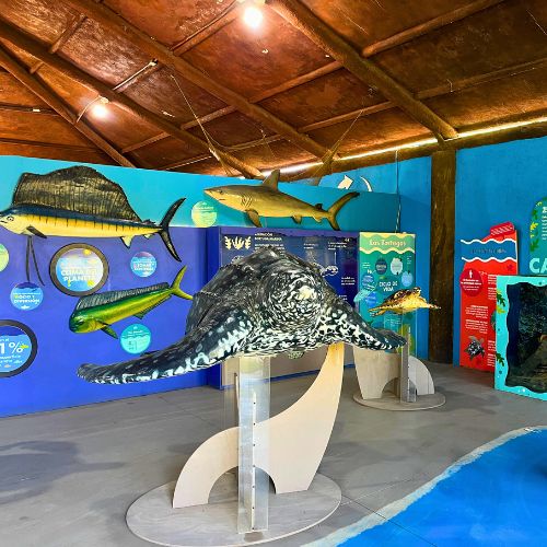 museo del mar centro de conservación marina