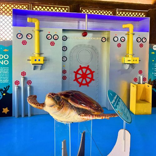 museo del mar guatemala