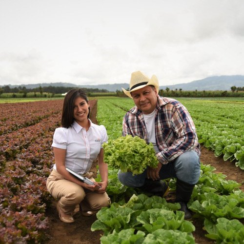 Banrural obtuvo alta calificación de Fitch Ratings por sus servicios financieros en Guatemala en 2023