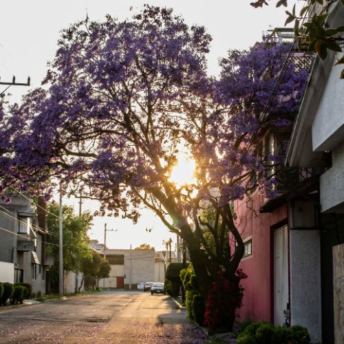 Equinoccio de primavera Guatemala 2024