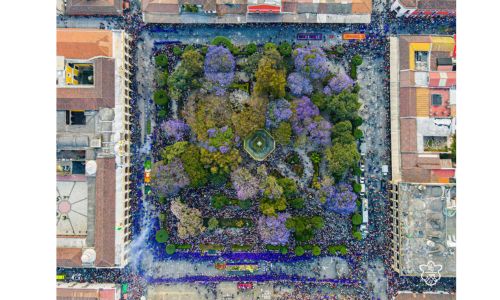 Fotos de la procesión de Jesús de la Caída Semana Santa 2024