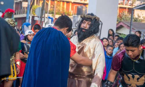 Perrito en via crucis de Sumpango, Sacatepéquez