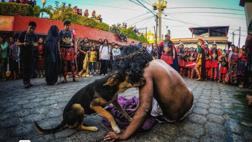 Perrito sorprendió en un vía crucis de Sumpango