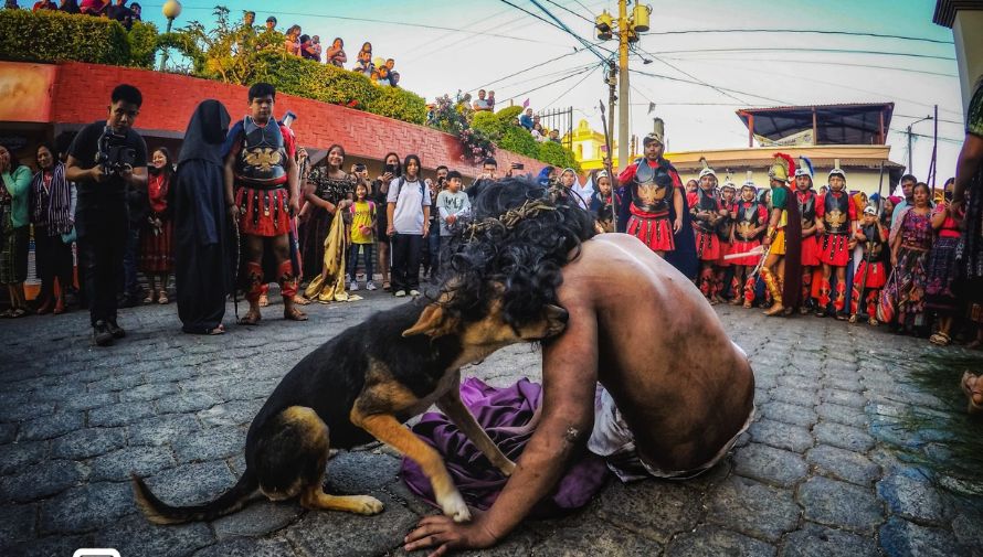 Perrito sorprendió en un vía crucis de Sumpango, Sacatepéquez