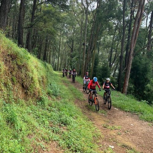 Ruta Cobán 2024 equipos mixtos