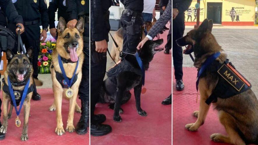 Tuza y 5 perritos K9 al retiro con honores Guatemala