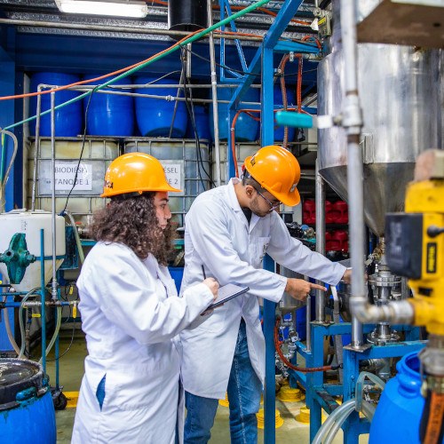 Universidad del Valle de Guatemala busca un futuro sostenible para nuestra sociedad
