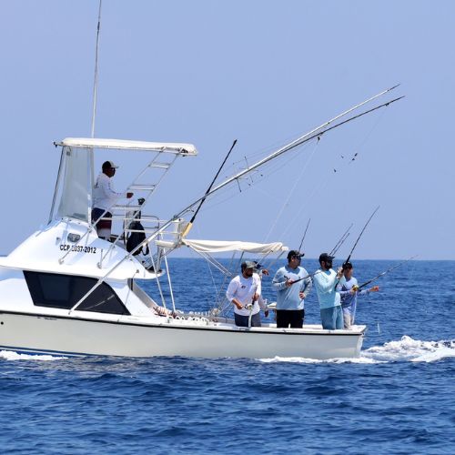 competidores en barco de liberación de pez vela