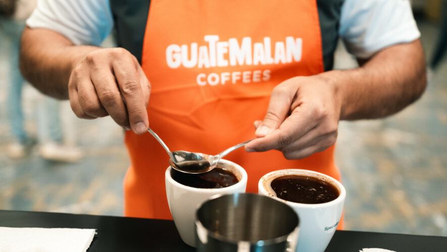Café de Guatemala sobresalió en la Specialty Coffee Expo 2024 de Estados Unidos