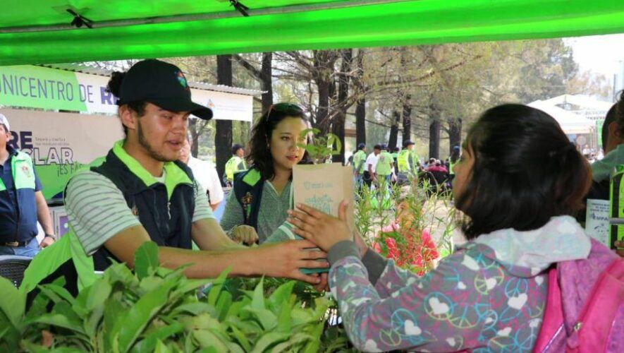 Domingo Verde en la Ciudad de Guatemala | Mayo 2024