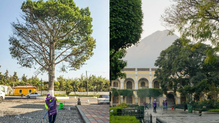 Festival D&iacute;a de la Tierra en el Cerro de la Cruz | Abril 2024