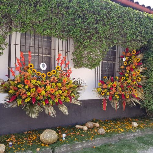 Festival Floraao Cobán tercera edición 2024