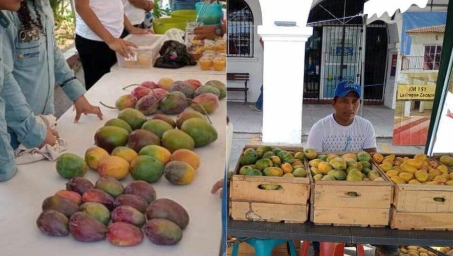 Festival del Mango en Zacapa edici&oacute;n 2024