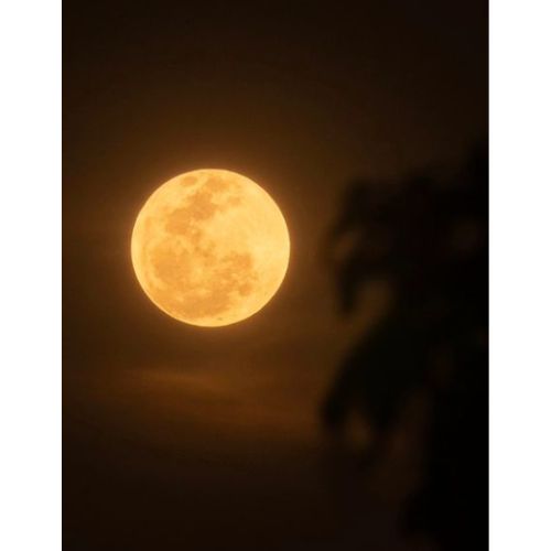 Fotos de la Luna Rosa de Abril 2024