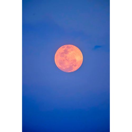 Fotos de la Luna Rosa de David Rojas