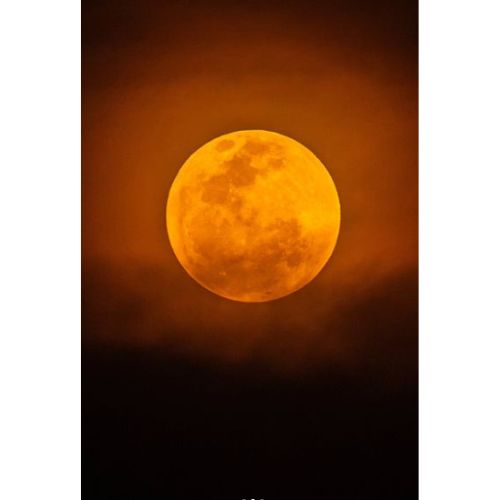 Fotos de la Luna Rosa en Guatemala David Rojas