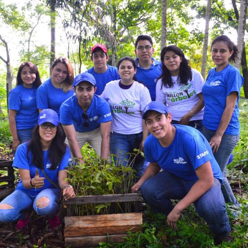 Guatemaltecos siembran árboles este 2024