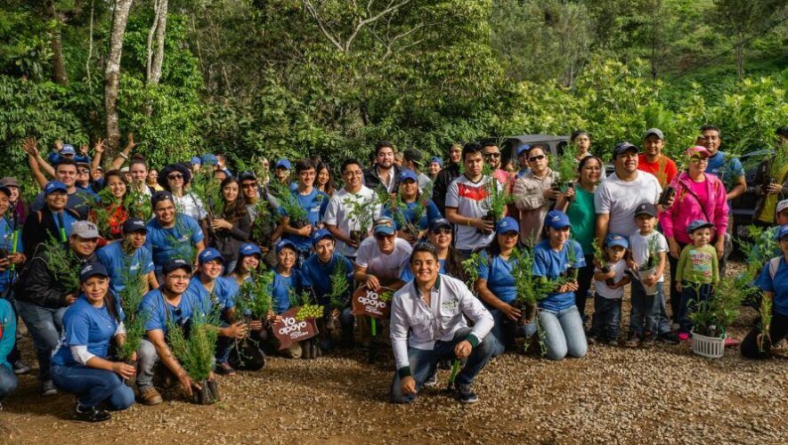 Primera siembra forestal del 2024 de El D&iacute;a del Mill&oacute;n de &Aacute;rboles