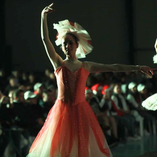 Muestra Artística de Danza 2024