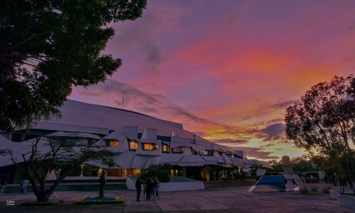Actividades gratuitas Festival de Junio 2024