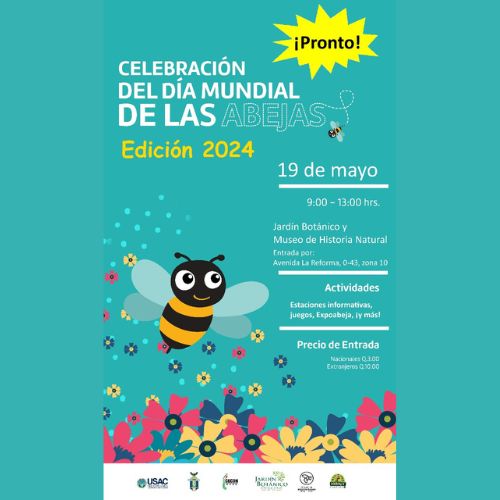 Celebran Expoabeja 2024 en la Ciudad de Guatemala